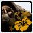 Test Drive Unlimited icon