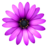 TextMate icon