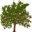 WinDirStat icon