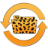 CheetahSync icon