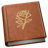 Chronories icon