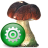 Cobian Backup icon