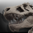 Dinosaurs: The American Museum of Natural History Collections icon