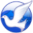 FreeGate icon