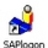 SAP Logon icon